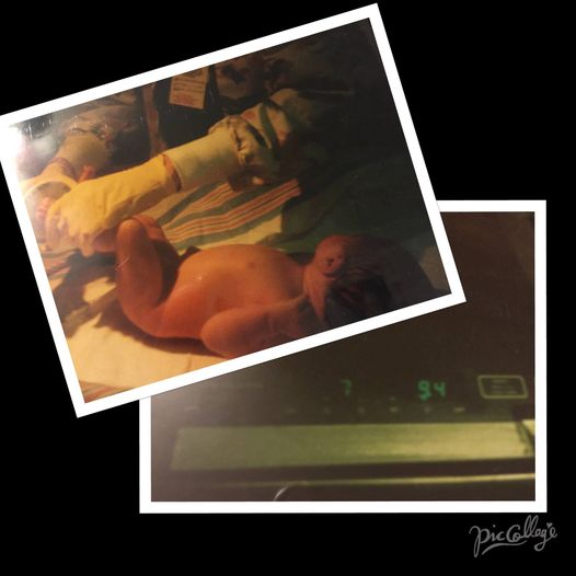 12309571_10205790268221532_1169450824592271614_o